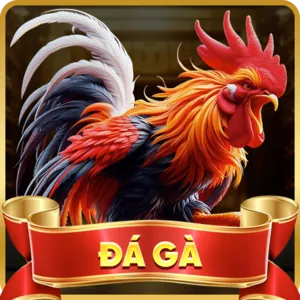Hướng dẫn chơi casino trực tuyến